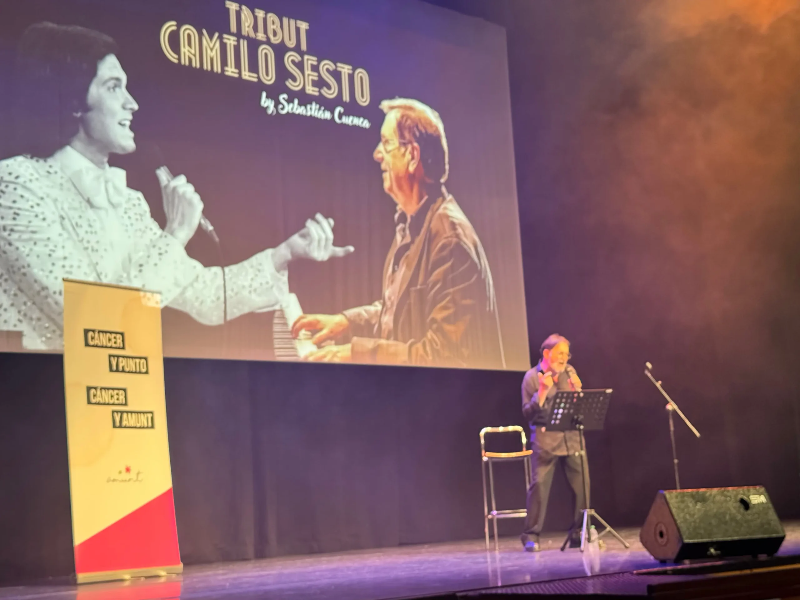 Tributo solidario a Camilo Sesto